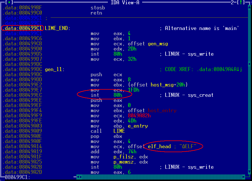 Рисунок 4. Внешний вид файла, зараженного вирусом PolyEngine.Linux.LIME.poly; вирус внедряет свое тело в конец секции данных и устанавливает на него точку входа. Наличие исполняемого кода в секции данных делает присутствие вируса чрезвычайно заметным Рисунок 4. Внешний вид файла, зараженного вирусом PolyEngine.Linux.LIME.poly; вирус внедряет свое тело в конец секции данных и устанавливает на него точку входа. Наличие исполняемого кода в секции данных делает присутствие вируса чрезвычайно заметным