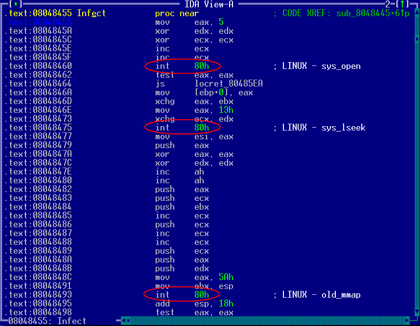 Рисунок 10. Фрагмент файла, зараженного вирусом VirTool.Linux.Mmap.443, демаскирующим свое присутствие прямым обращением к native-API операционной системы Рисунок 10. Фрагмент файла, зараженного вирусом VirTool.Linux.Mmap.443, демаскирующим свое присутствие прямым обращением к native-API операционной системы